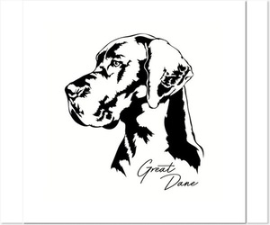 Great Dane Dog Breeder near GLADYS, VA, USA