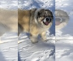 Small #115 Breeder Profile image