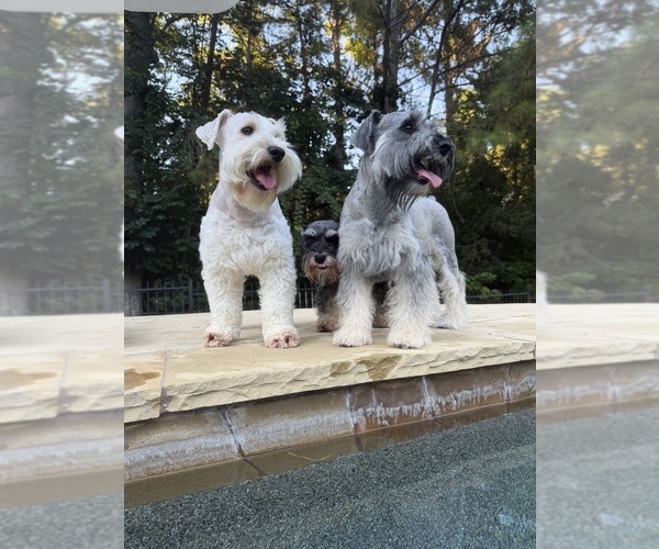 Medium Photo #3  Breeder Profile in MONTGOMERY, TX, USA