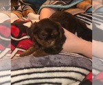 Small #24 Breeder Profile image