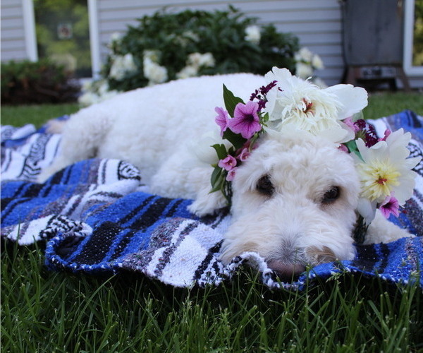 Medium Photo #1  Breeder Profile in HOLMEN, WI, USA