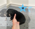 Small #10 Breeder Profile image