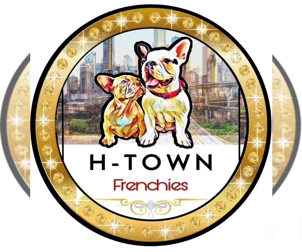 Medium Photo #1  Breeder Profile in BAYTOWN, TX, USA