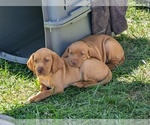 Small #5 Breeder Profile image