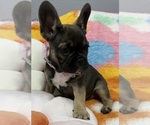 Small #5 Breeder Profile image