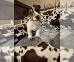 Small #24 Breeder Profile image