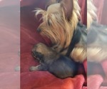 Small #123 Breeder Profile image