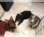 Small #1 Breeder Profile image