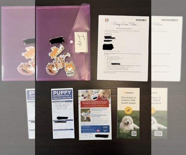 Medium Photo #35  Breeder Profile in GRAND RAPIDS, MI, USA