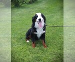 Small #4 Breeder Profile image