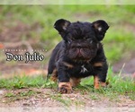 Small #13 Breeder Profile image