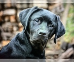 Small #10 Breeder Profile image
