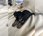 Small #21 Breeder Profile image