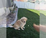 Small #20 Breeder Profile image