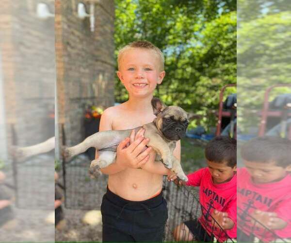 Medium Photo #3  Breeder Profile in BARK RIVER, MI, USA