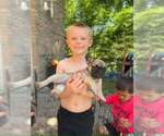 Small #2 Breeder Profile image