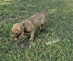 Small #5 Breeder Profile image