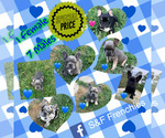 Small #2 Breeder Profile image