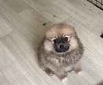 Small #2 Breeder Profile image