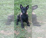 Small #21 Breeder Profile image