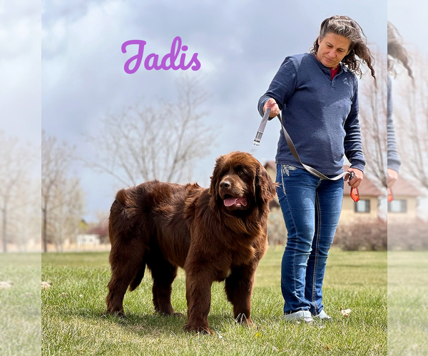 Medium Photo #1  Breeder Profile in CORTEZ, CO, USA
