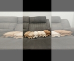 Small #3 Breeder Profile image