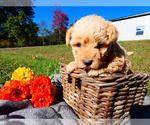 Small #9 Breeder Profile image