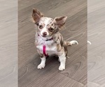 Small #41 Breeder Profile image
