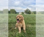 Small #15 Breeder Profile image