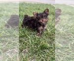 Small #7 Breeder Profile image