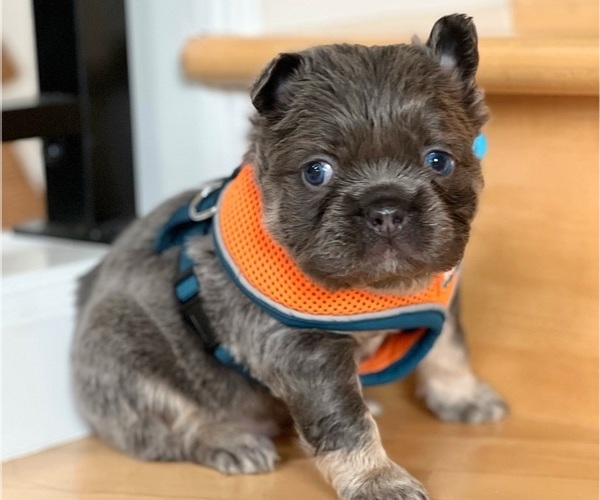 Medium Photo #2  Breeder Profile in CLACKAMAS, OR, USA