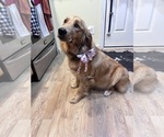 Small #58 Breeder Profile image