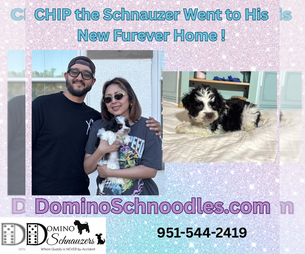 Medium Photo #6  Breeder Profile in MORENO VALLEY, CA, USA