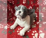 Small #9 Breeder Profile image