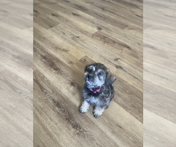 Medium Photo #1  Breeder Profile in CLERMONT, FL, USA