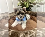 Small #5 Breeder Profile image