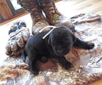 Small #7 Breeder Profile image
