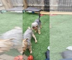 Small #331 Breeder Profile image