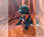 Small #19 Breeder Profile image