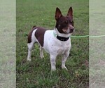 Small #15 Breeder Profile image