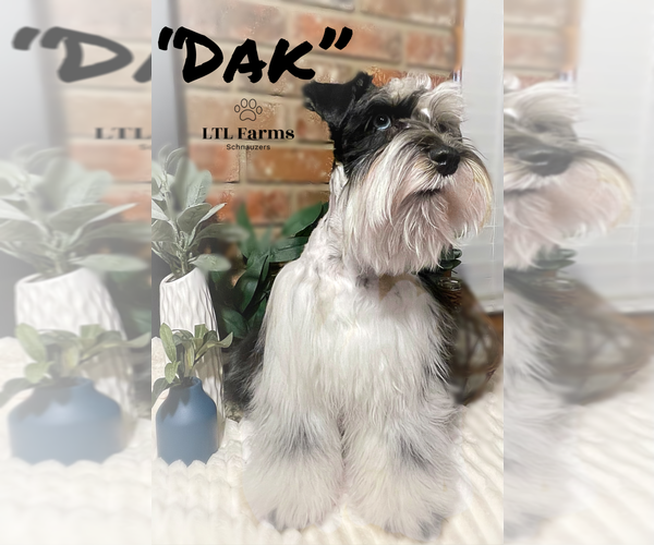 Medium Photo #1  Breeder Profile in CATOOSA, OK, USA