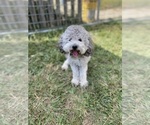 Small #15 Breeder Profile image