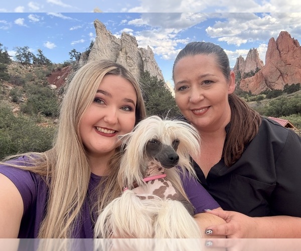 Medium Photo #1  Breeder Profile in BROOKSVILLE, FL, USA
