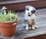 Small #23 Breeder Profile image