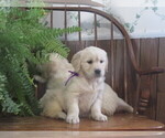 Small #4 Breeder Profile image