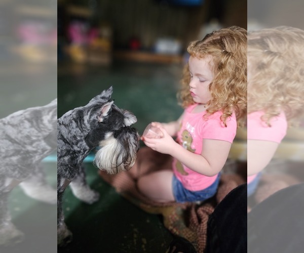 Medium Photo #4  Breeder Profile in ATHENS, AL, USA