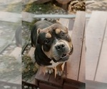 Small #24 Breeder Profile image