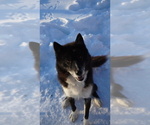 Small #7 Breeder Profile image