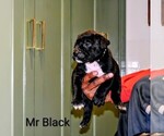 Small #17 Breeder Profile image