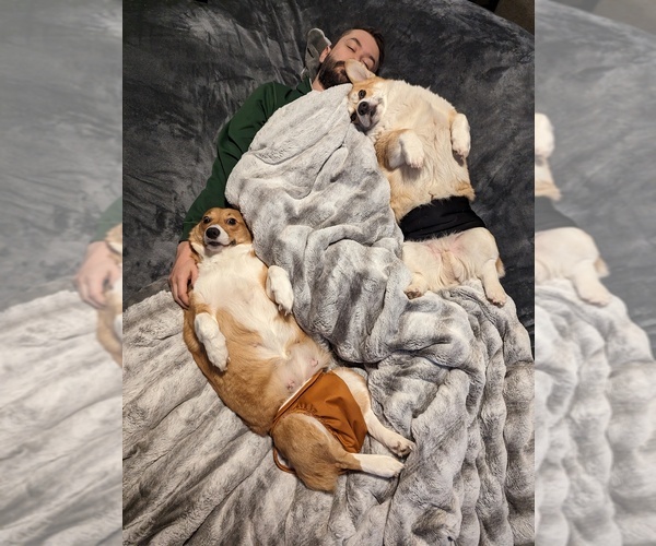 Medium Photo #1  Breeder Profile in VANCOUVER, WA, USA